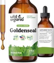 Wild & Organic Goldenseal Tincture - Lung & Digestive Support - Goldenseal Root Extract Liquid Drops - Vegan, Sugar & Alkol-Free Herb Supplement - 4 fl ozz