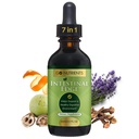 Go Nutrients Intestinal Edge – Καθαρίστε τα εντόσθια για ανθρώπους με Wormwood, Black Walnut, Clove - Detox Liquid για γυναίκες, άνδρες, παιδιά και ενήλικες - Βιολογική βοτανική υποστήριξη για την πέψη & ευεξία – 2oz