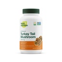 Taze Beslenme Organik Türkiye Tail Mushroom Extract Supplement - Beta Glucans - Non-GMO, Vegan Dostu, Gluten-Free - 90 Capsules