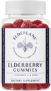Elderlane Elderberry Gummies for Yetişkinler and Kids - Immune Support - Non-GMO, Vegan, Gluten-Free, Gelatin-Free - 60ct, 100 mg