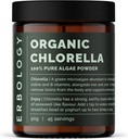 Erbology Organic Chlorella Powder 3.2 oz - 45 Servings - Βιώσιμα πηγάζει στην Ισπανία - Καθαρισμός του σώματος και την ασυλία Υποστήριξη - πλούσια σε χλωροφύλλη, βιταμίνες Β, σίδηρο και φώσφορο - Vegan - GMO-Free