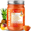WELLNESS LABSRX Irish Sea Moss Gel Raw - Wildcrafted Superfood Seamoss Gel - Pineapple Mango Flavor, Vitamin ve Mineral-Rich Pristine Caribbean Waters - 10 oz.