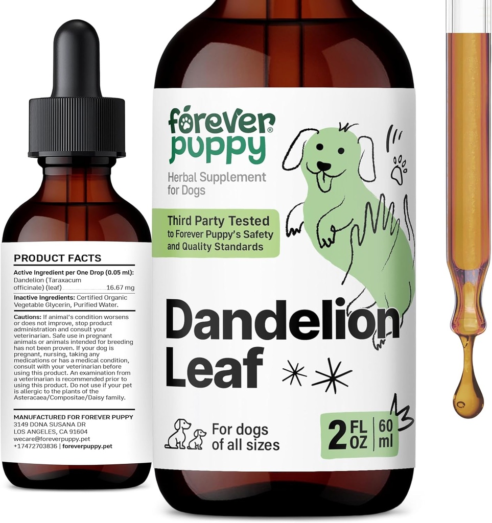 Köpekler için Sonsuz Puppy Dandelion Leaf Drops - Kidney Health Liquid Supplement for Large, Medium & Small Dogs - Kidney Cleanse Detox Drops w / Dandelion Leaves Tincture - 2 ozzz
