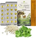 Oreganic Plus Mastic - Oregano Essential Oil Capsules & Chios Mastic Gum Oil - Wild Oregano Oil Capsules Organik - Immune ATM ve Intestinal Support - Non-GMO - 30 Count Fırka