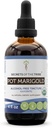 Tribe Pot Marigold USDA Organik | Alkol Özgür Tür, Yüksek Lisans Herbal Drops | %100 sertifikalı Organik Pot Marialtı (Calendula, Calendula Officinalis)