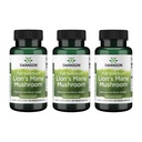Swanson Lion's Mane Mushroom - Geleneksel Beyin ATM Supplement Hericium Erinaceus (60 Capsules, 500 mg Her) 3 Pack