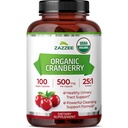 Zazzee USDA Organik Cranberry 25:1 Ekstraksiyon, Capsule başına 500 mg, 100 Vegan Capsules, 3 Ay Supply, Standardized, Interd 25X Extract, 100% Vegetarian, sertifikalı Organik, Non-GMO All-Do-Doğal