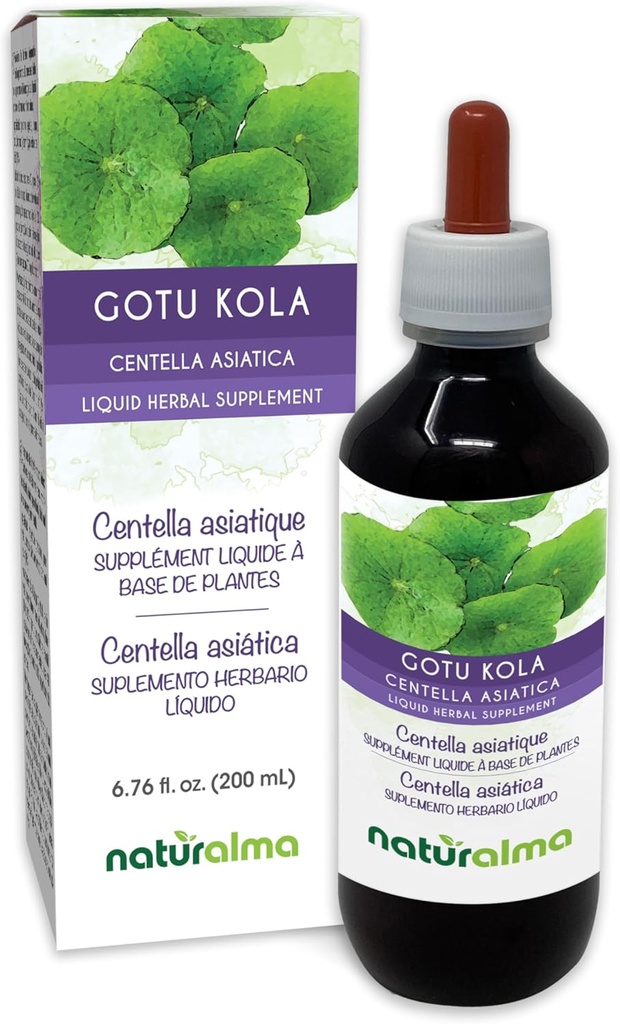 Naturalma Gotu kola (Centella asiatica) onunb Alkol Özgür Tincture - 6.76 fl oz Sıvı Ekstraksiyon - Herbal Supplement - Vegan