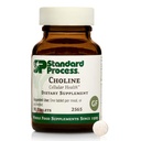 Τυπική Choline Διαδικασίας - Υποστηρίζει υγιή λιπώδη μεταβολισμό, ηπατική υγεία & λειτουργία νευρικού συστήματος - χωρίς γλουτένη, μη γαλακτώδη και χορτοφαγικά -180 mg, 90 δισκία