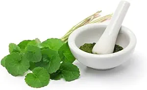 (Pack of 2) Organik Centella Asiatica Toz (50g)