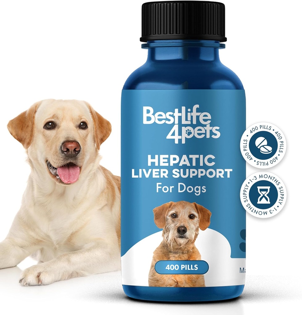 Köpekler için heratik Liver Desteği, Dissolvable Homeopathic Digestive Canine Supplement for Liver Detox and Nutrient Abception,% 100 All Natural, Easy to Give, Free of Chemical ormixs, 400 Pills