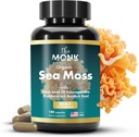 Organik İrlandalı Deniz Moss Capsules - Advance Formula, Raw Wildcrafted Seamoss Supplement with Bladderwrack and Burdock Root - 180 Pills - ABD'de Yapıldı