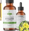 Mullein Tincture – Organik Mullein Drops for Lung Support & Respiratory Wellness – Amerika'da Yapıldı – 2 Fl Oz Oz