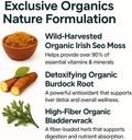 ORGANICS N Vitamin İrlandalı Deniz Moss Capsules 45 Hizmetler | Yüksek Potency Seamoss Pills | Dr. Sebi Enerji 90 Vegan Capsules için Deniz Moss Onayladı