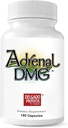 Adrenal DMG - 180 Capsules - Support Daytime Energy, Better Sleep, Immune System, Stres Seviyelerini azaltır ve Fatigue - All Natural Supplement