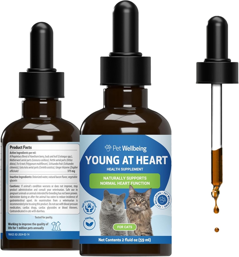 Pet Wellence Young in Heart for Cats - Vet-Formated - Heart Health, Circulatory & Cardiovascular System, Hawthorn, Motherwort, Schisandra - Herbal Supplement 2 oz (59 ml)