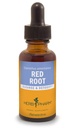 Herb Pharm Red Root Liquid Extract for Cleansing and Detoxing - 1 Ounce (DRROOT01)