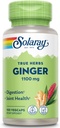 SOLARAY Ginger Root 1100 mg | Sağlıklı Digestion, Ortaklar ve Hareket & Stomach Discomfort Desteği | Tüm Kök | Non-GMO & Vegan | 100 VegCaps