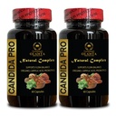 Συμπλήρωμα Υποστήριξης Candida - Χάπια βοηθείας Digestive, Υποστηρίζει Υγιεινή Εντερική Χλωρίδα & ανοσοποιητικό Σύστημα Υποστήριξη με Digestive Ένζυμα - 2 Φιάλες 120 Κάψουλες