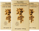 3 μπουκάλια Umi No Shizuku Fucoidan Κάψουλα καθαρό εκχύλισμα θαλασσινού χόρτου Ενισχυμένο με Agaricus Mushroom Βελτιστοποιημένο συμπλήρωμα υγείας υποστήριξης του ανοσοποιητικού