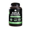PURE ORIGINAL INGREDIENTS Amla Extract (365 Capsules) No Magnezyum Or Rice Fillers, Always Pure, Lab TY