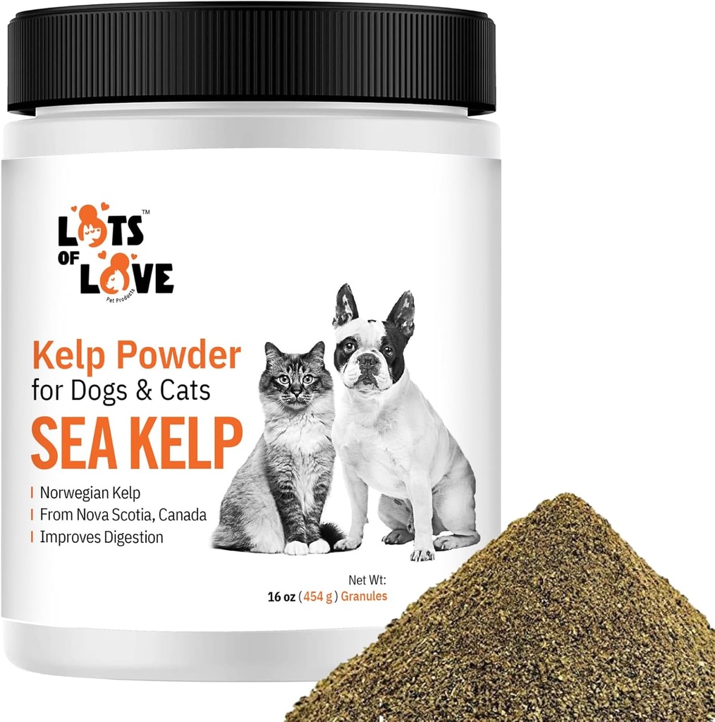 Dog & Cat için Kelp Toz - Organik Deniz Kelp Supplement Granules Toz (16 Oz, 1 Pound)