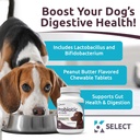 K9 Köpekler için Probiyotik seçin, Inulin - 90 Chewable Tabletler - Sağlıklı Digestion ve Nutrient Abors - Dog Probiyotiks and Digestive Enzymes - Köpekler için Probiyotikler