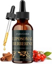 Liposomal Berberine Drops Supplement 3000mg - Ενεργοποιητής υψηλής απορρόφησης AMPK, Σύμπλεγμα HCl βιολογικής βερβερίνης με κανέλα Κεϋλάνης & Ginger για ανοσοποίηση & πέψη (2 fl oz)