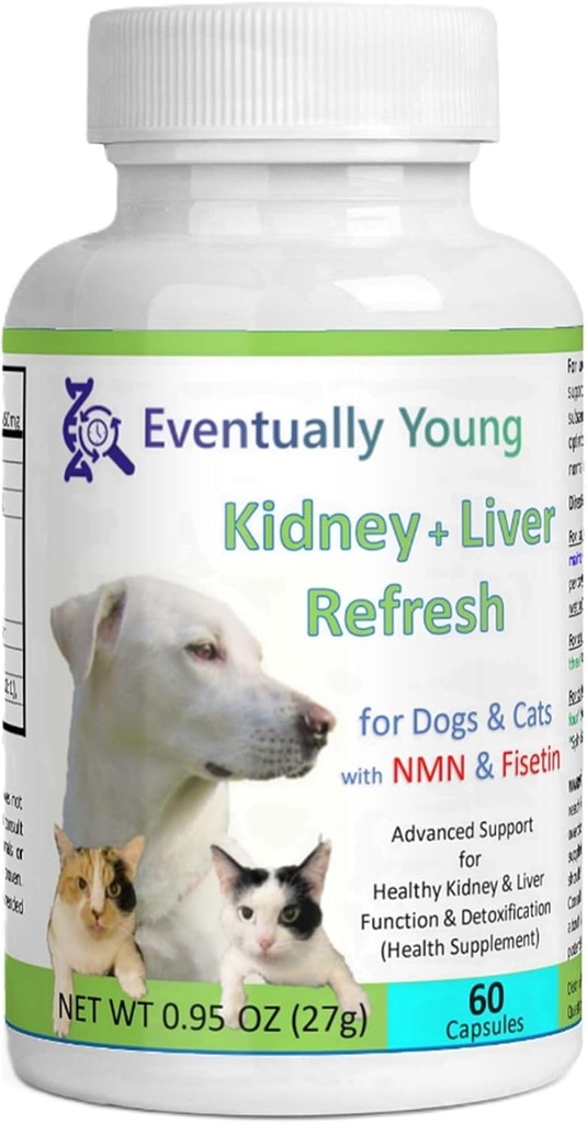 Sonunda Genç 12in-1 Kidney Cats & Köpekler için Geri Dönüşüm: Super Phosphate Binder w/NMN, Fisetin, Antioksis, Prebiyotik & Probiyotik 4 Sağlıklı Kidney & Liver Functions (60 Caps)