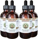 Cinnamon Alkol-Free Liquid Extract, Cinnamon (Cinnamomum Verum) kuru Bark Glycerite Hawaii Pharm Natural Herbal Supplement 4x4 oz