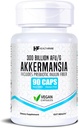 Healthfare Akkermansia Muciniphila Probiyotik | 300 Milyar AFU | 90 Vegan Capsules | Inulin Prebiyotik for Gut Health & Digestive Support | Non-GMO, Gluten-Free | Made in USA