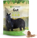 Gümüş Lining Herbs Gut Support Horse Supplements - Gut Health & Digestive Supplement for Horses - Potent Digestion Support Herbal Mix of Licorice, Slippery Elm & More - 1 lb 60-Day Supply