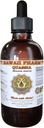 Quassia (Quassia Amara) Sıvı Ekstraksiyon, Tincture, Herbal Supplement, Hawaii Pharm, ABD'de 4 fl.oz