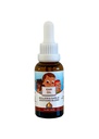 Punkin Butt Baby Ear Oil | Organik,, Mullein, Calendula Ear Drops Bebek Için Güvenli (1 oz)
