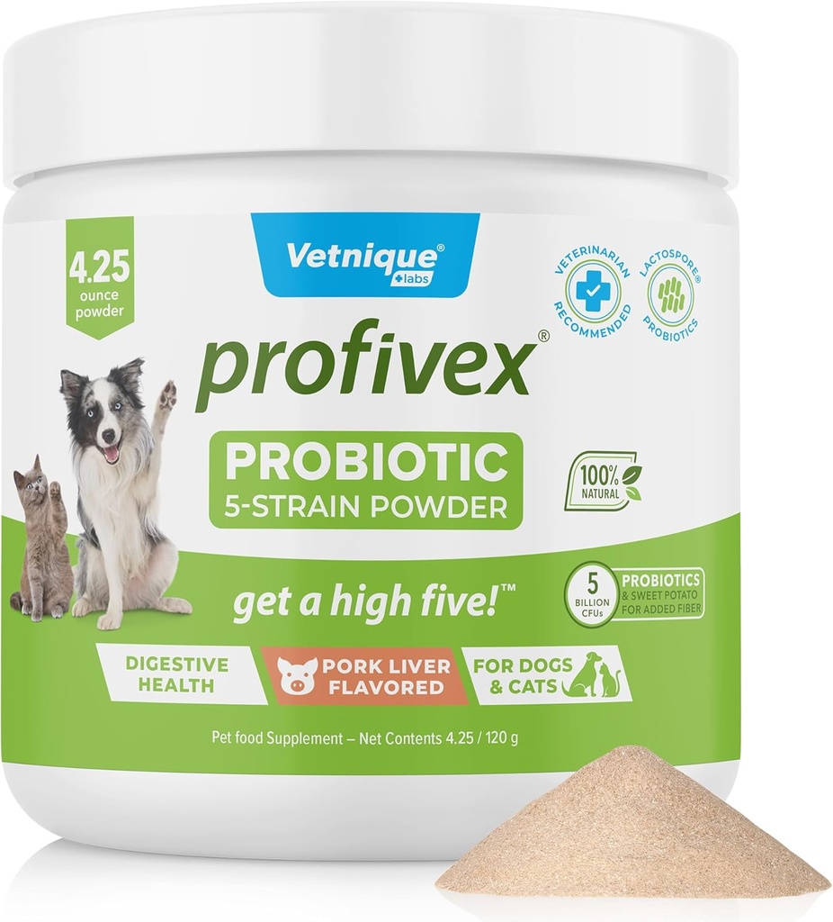 Vetnique Laboratuvarlar Köpekler için Probiyotikler All Natural Dog Chews & Toz for Digestive Health Probiyotik Supplements for Dogs 5 Strains of Probiyotiks & Prebiyotiks (Powder, 4.25oz)