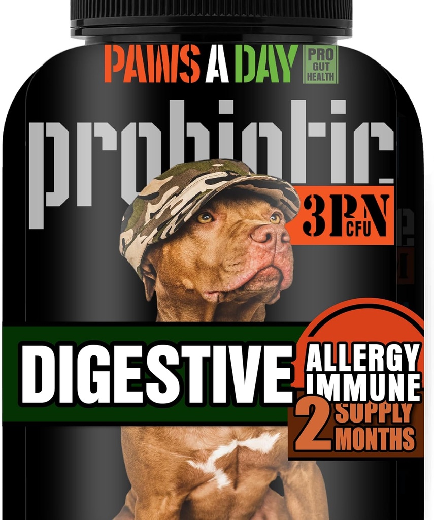 Ordu Askerler Yeast için Köpek Probiyotikleri, Itchy Skin & Itchy Ears, Dog Antigestive Health, Occasional Diarrhea & Immune Support, 3 Milyar CFU, 60 Yummy Chewables