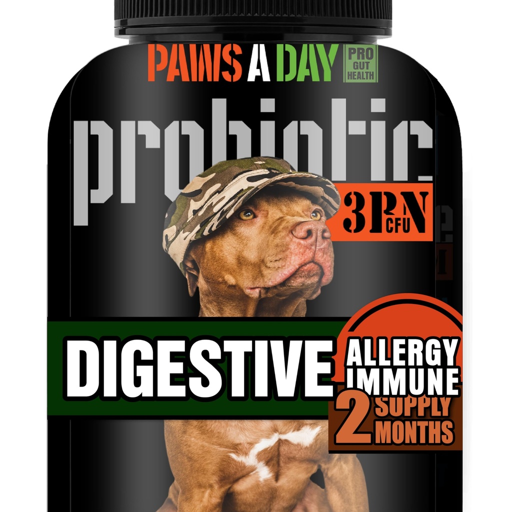 Ordu Askerler Yeast için Köpek Probiyotikleri, Itchy Skin & Itchy Ears, Dog Antigestive Health, Occasional Diarrhea & Immune Support, 3 Milyar CFU, 60 Yummy Chewables