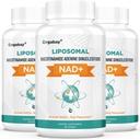 Yagabay Liposomal NAD+ 500 mg, Yüksek Absorpsiyon, TMG 250 mg ile NAD+, Actual NAD Plus Nicotinamid Riboside'dan daha verimli, Destek Hücreleri Enerji, Sağlıklı Ağlama | 180 Softgels