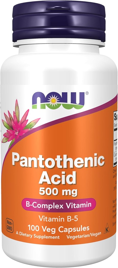 Şimdi Gıdalar Tamamlıyor, Pantothenic Acid (Vitamin B-5) 500 mg, B-Complex Vitamin, 100 Capsules