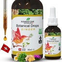 Natural Botanical Drops – Ginger and Digestive Enzymes in an Organic Formula for Comprehensive Wellness, Support Immune System, Promote Inflammation Relief, and Enhance Blood Circulation (50ml)