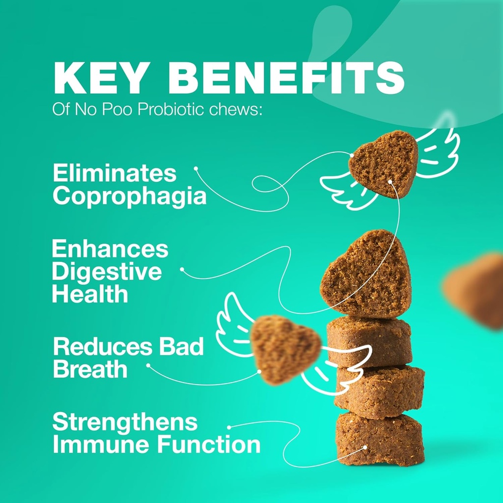 No Poo Chewables for Dogs - Ένζυμα, Probiotics σκύλου για Digestive Health - Canine Digestive, Gut & ανοσοποιητικό συμπλήρωμα υγείας