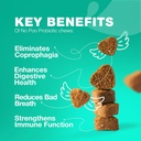 Köpekler için Poo Chewables - Enzymes, Dog Probiyotiks for Digestive Health - Canine Digestive, Gut & Immune Health Supplement