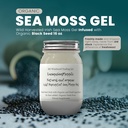 Ashwagandha Mango Sea Moss Gel Organik Taze Meyve, Vahşi Hasat Edilmiş İrlandalı Deniz Moss Gel | Immune ve Digestive Support | Vitamin Mineral Anti Supplementoksidans | (16 oz. Ashwagandha Mango)