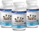 böbrek mesanesi rahatlama köpeği - DOG URINARY TRACT DESTEK - NATURAL CRANBERRY SOLUTION - BLADDER SA - VET RECOMMENDED - köpek cranberry takviyesi tozu - 3 Şişe (270 Antlaşma)
