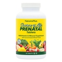 Natures Plus Life Prenatal Kaynağı - 800 mcg Folate, 90 Vejetaryen Tabletler - Iron & Food ile Tüm Doğal Prenatal Vitamin & Mineraller - Optimal Sağlık & Enerji - Gluten-Free - 45 Hizmetler