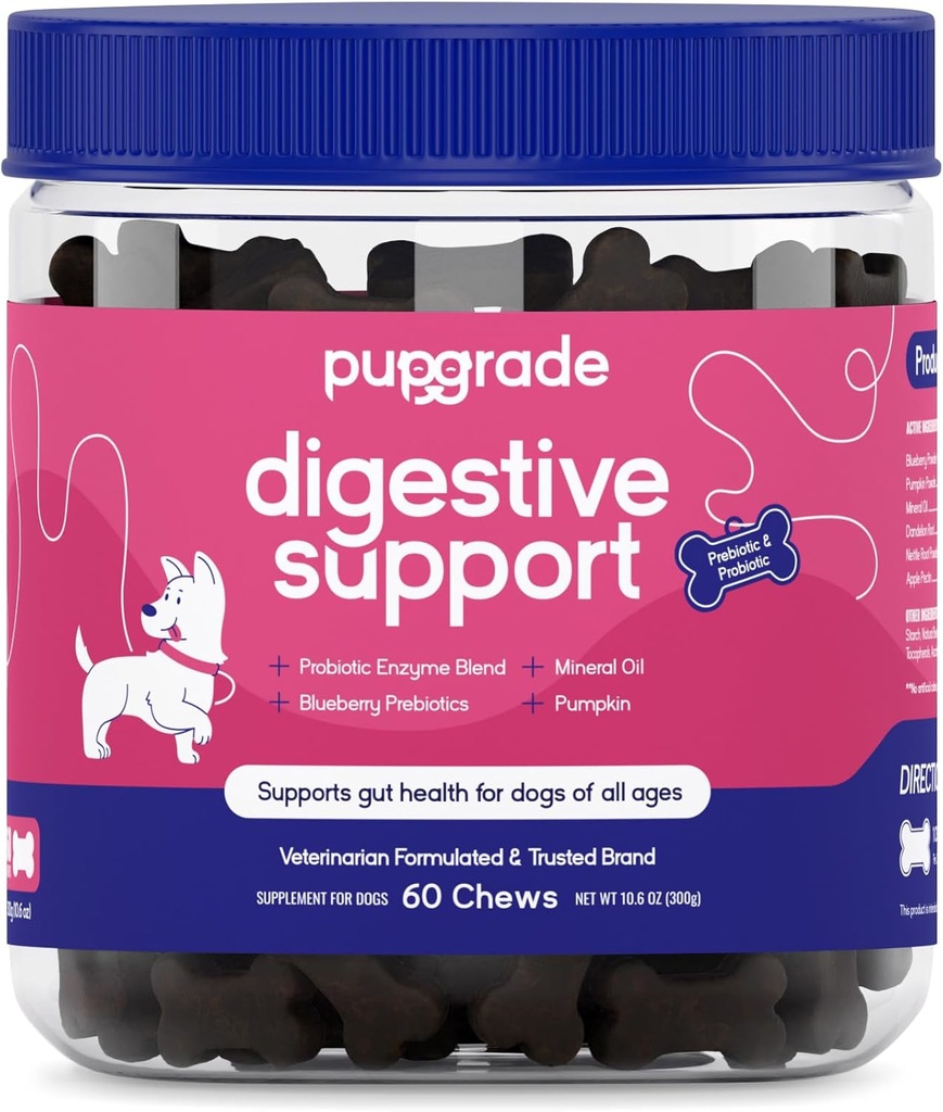 PupGrade Digestive Support Chews for Dogs - Prebiotic και Probiotic συμπλήρωμα με Enzyme Blend - Αναστατωμένο στομάχι, Διάρροια, Bowel, και ανοσοποιητική υποστήριξη - κολοκύθα, βατόμουρο, Ορυκτό Έλαιο - 60 μαλακά μάσημα