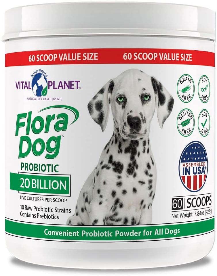 Vital Planet - Flora Dog Probiyotik Toz Supplement with 20 Milyar Cultures and 10 Strains, High Potency Immune and Digestive Support Probiyotiks for Dogs, 7.84 oz., 222 Grams, 60 Hizmet