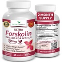 Kilo Yönetimi için Ultra Pure Forskolin: Coleus Forskohlii Root Extract Toz, Erkekler ve Kadınlar için% 40 Standartlaştırılmış Lean Supplement - 60 Capsules