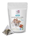 solunum vitaminleri - RESPIRAT VE LUNG DESTEK TEA 14 Gün Cinnamon, Hibiscus, Marshmallow Root, Astragalus, Peppermint, eucalyptus çay yaprak 1 Pack 14 Tea Bag Çanta