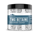 Earthborn Elements TMG Betaine Anhidrus Tritilglycine 200 Capsules, Pure & Undiled, No Wordss